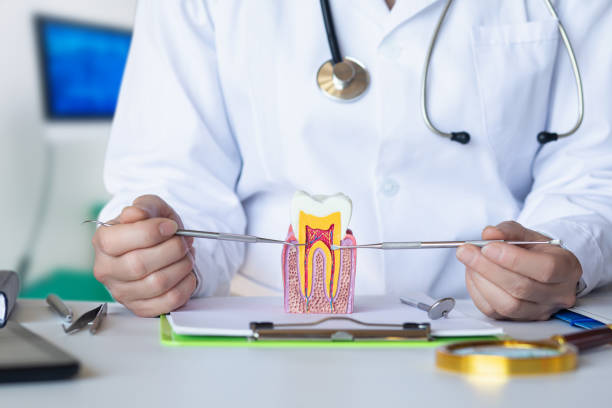 Best Emergency Tooth Extraction in South Sioux City, NE